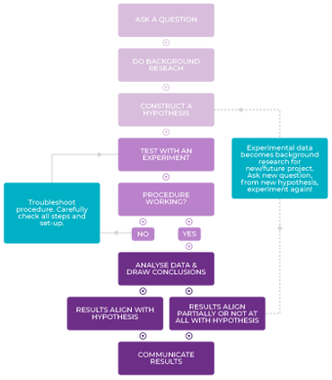 Growth model - Design Prodigy | Digital Marketing Agency In Singapore